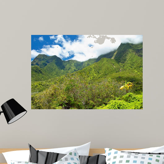 Iao Valley State Park on Maui Hawaii 