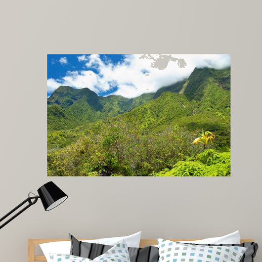 Iao Valley State Park on Maui Hawaii 