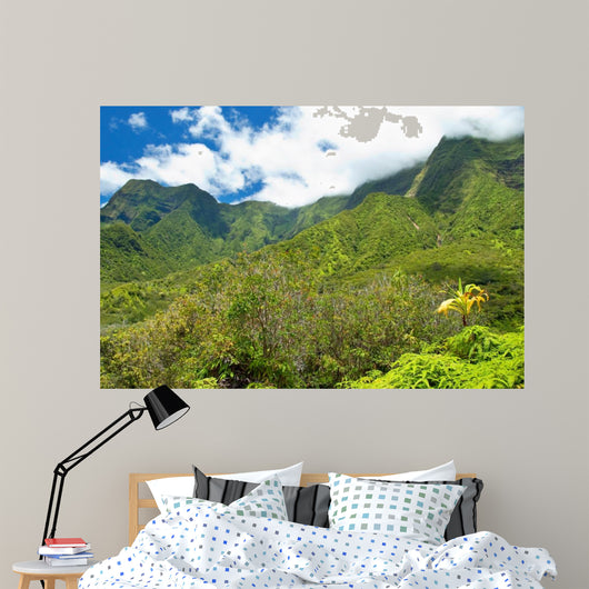 Iao Valley State Park on Maui Hawaii 