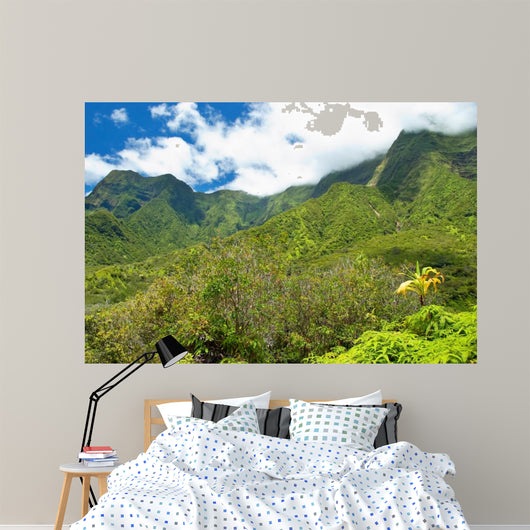 Iao Valley State Park on Maui Hawaii 