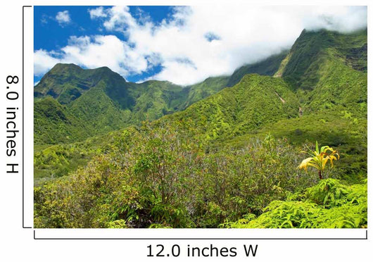 Iao Valley State Park on Maui Hawaii 