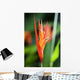 Rainforest Tropical flower in australian Wall Mural