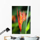 Rainforest Tropical flower in australian Wall Mural