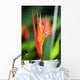 Rainforest Tropical flower in australian Wall Mural
