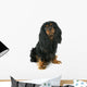Cavalier King Charles Wall Decal