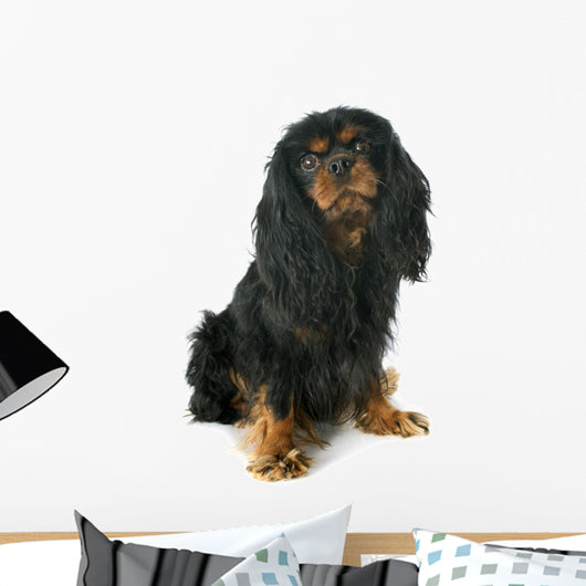 Cavalier King Charles Wall Decal
