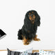 Cavalier King Charles Wall Decal