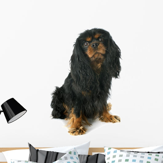 Cavalier King Charles Wall Decal