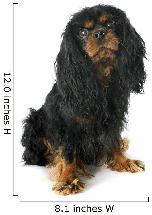 Cavalier King Charles Wall Decal