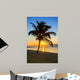 palm tree on a beach at sunset 