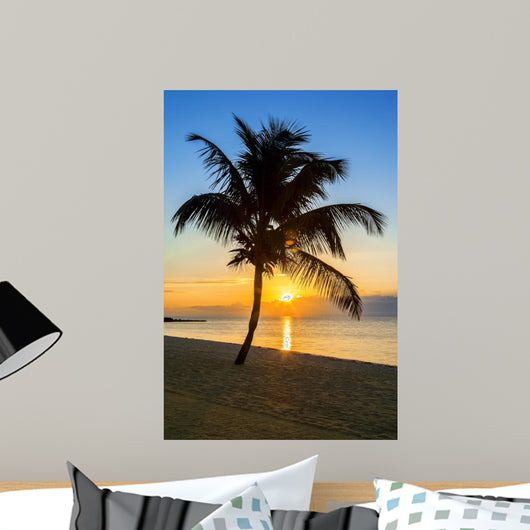 palm tree on a beach at sunset 