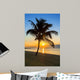 palm tree on a beach at sunset 