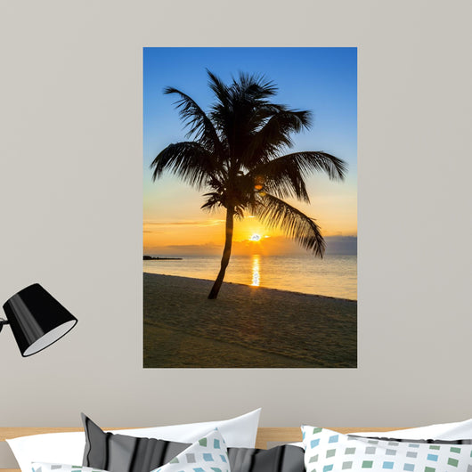 palm tree on a beach at sunset 