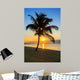 palm tree on a beach at sunset 