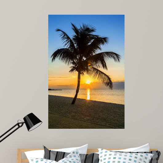 palm tree on a beach at sunset 