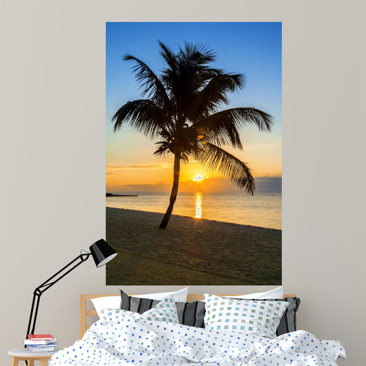 palm tree on a beach at sunset 