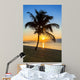 palm tree on a beach at sunset 