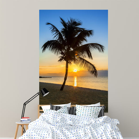 palm tree on a beach at sunset 