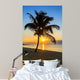 palm tree on a beach at sunset 