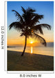 palm tree on a beach at sunset 