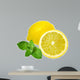 Lemons and Mint Isolated on White Background 