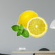 Lemons and Mint Isolated on White Background 