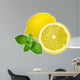 Lemons and Mint Isolated on White Background 