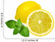 Lemons and Mint Isolated on White Background 