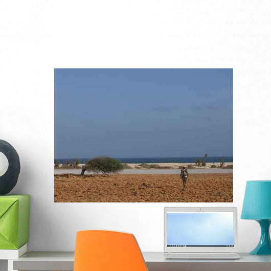 Cape Verde and Desert Wall Decal