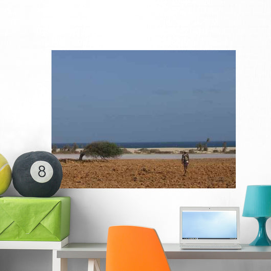 Cape Verde and Desert Wall Decal