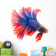 Siamese Betta Fish Wall Decal