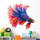 Siamese Betta Fish Wall Decal