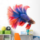 Siamese Betta Fish Wall Decal