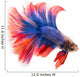 Siamese Betta Fish Wall Decal