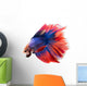 Siamese Betta Fish Wall Decal