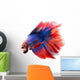 Siamese Betta Fish Wall Decal