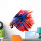 Siamese Betta Fish Wall Decal