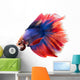 Siamese Betta Fish Wall Decal