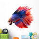 Siamese Betta Fish Wall Decal