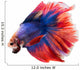 Siamese Betta Fish Wall Decal