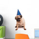Pug Wall Decal