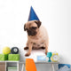 Pug Wall Decal