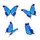 Blue butterflies Wall Decal