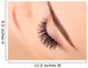Woman Eye with Long Eyelashes. Eyelash Extension 