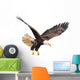 Bald eagle isolated on white background. Wall Decal