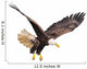 Bald eagle isolated on white background. Wall Decal