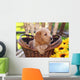 Adorable Poodle Mix Puppy Sitting in Basket with Sunflowers Wall Mural