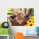Adorable Poodle Mix Puppy Sitting in Basket with Sunflowers Wall Mural