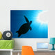Tortoise Wall Mural