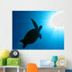 Tortoise Wall Mural
